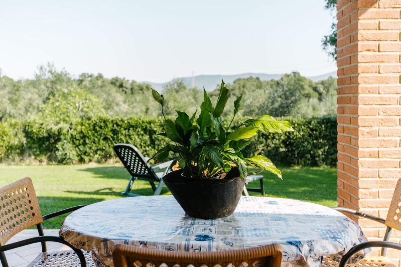 קסטליונה דלה פסקאיה Agriturismo Casa Andreina מראה חיצוני תמונה