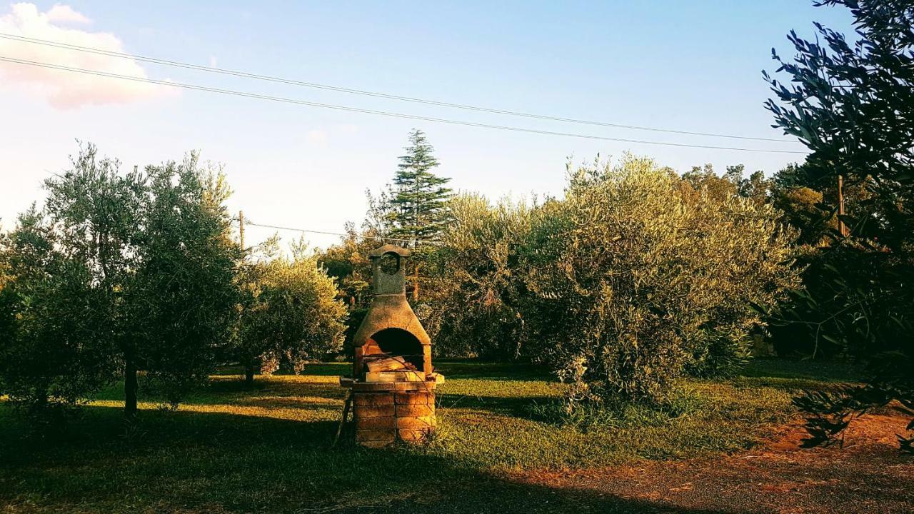 קסטליונה דלה פסקאיה Agriturismo Casa Andreina מראה חיצוני תמונה